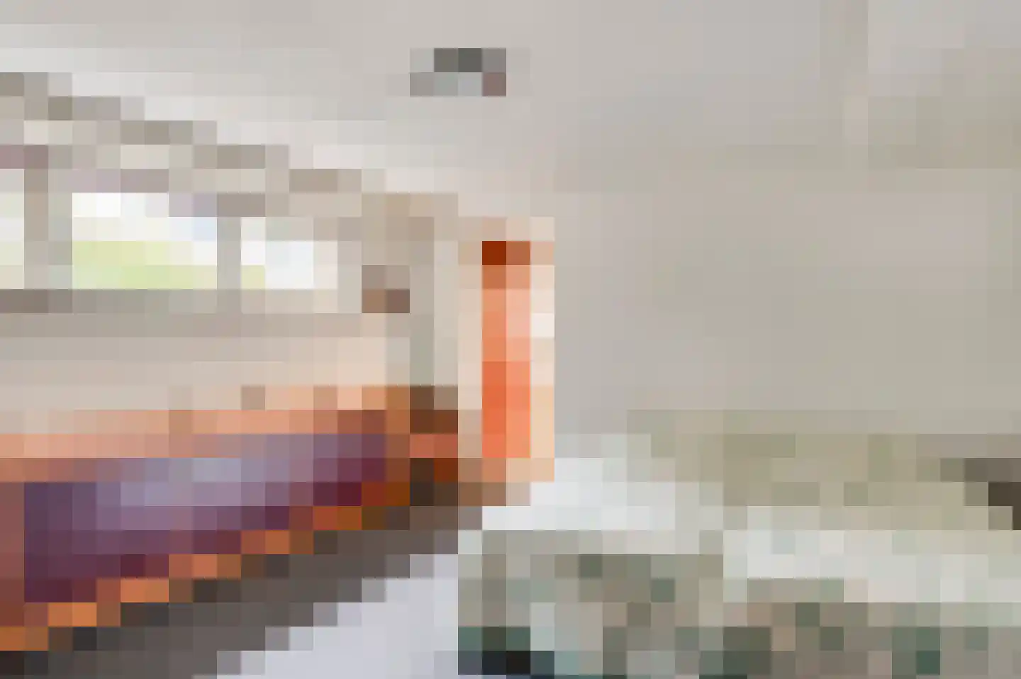 't Laar 2 Haelen thumbnail 31