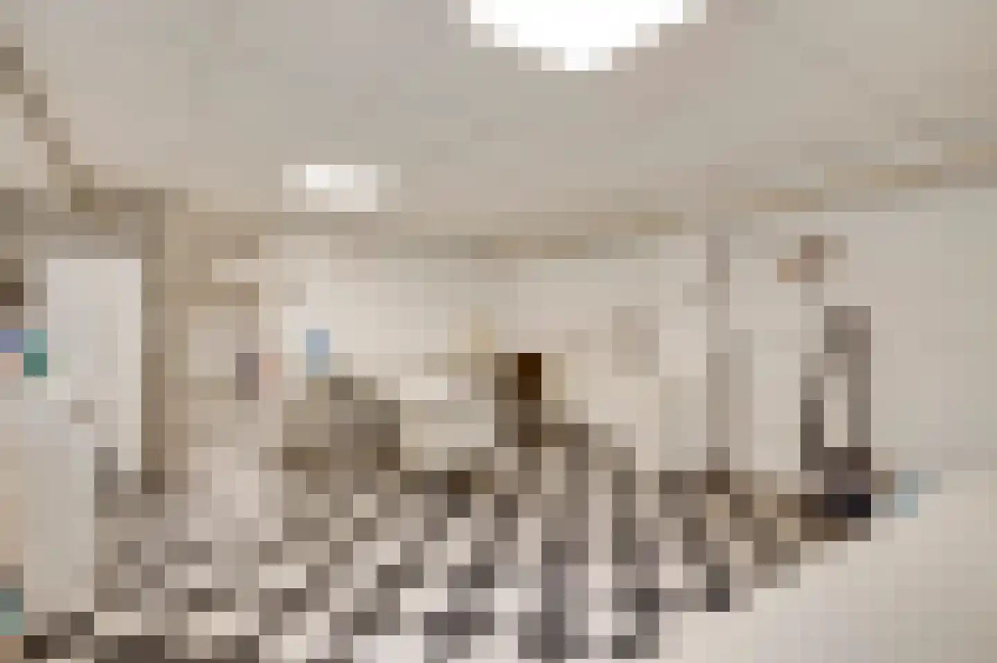 't Laar 2 Haelen thumbnail 36