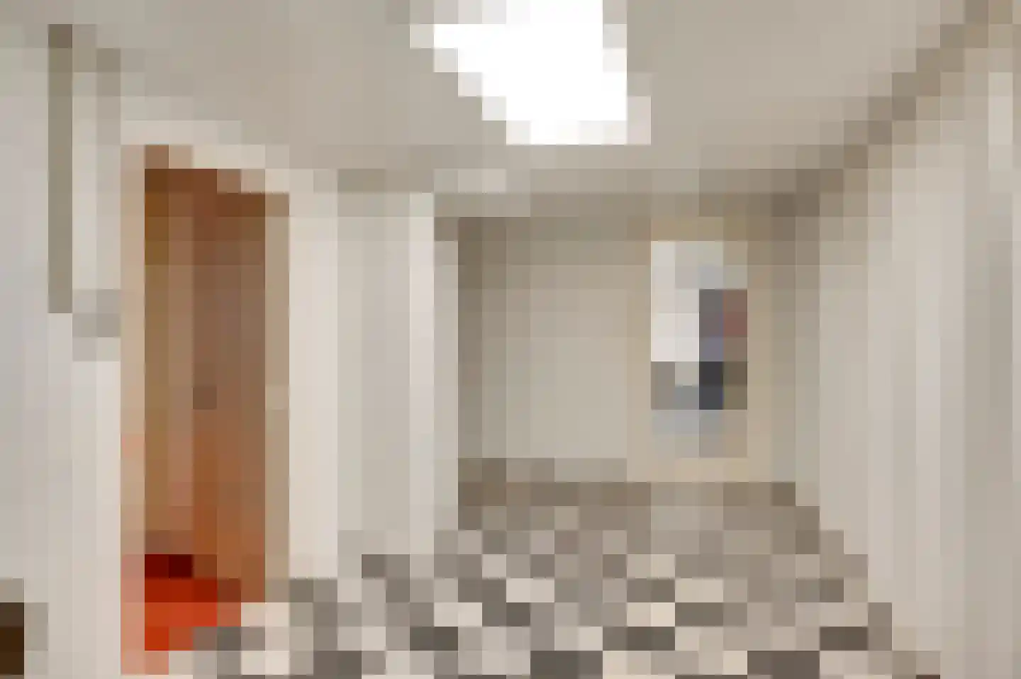 't Laar 2 Haelen thumbnail 39
