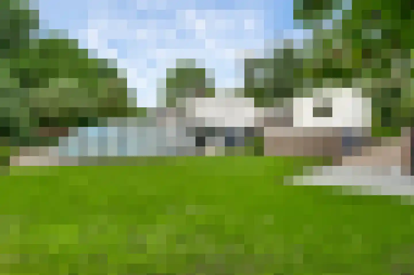't Laar 2 Haelen thumbnail 50