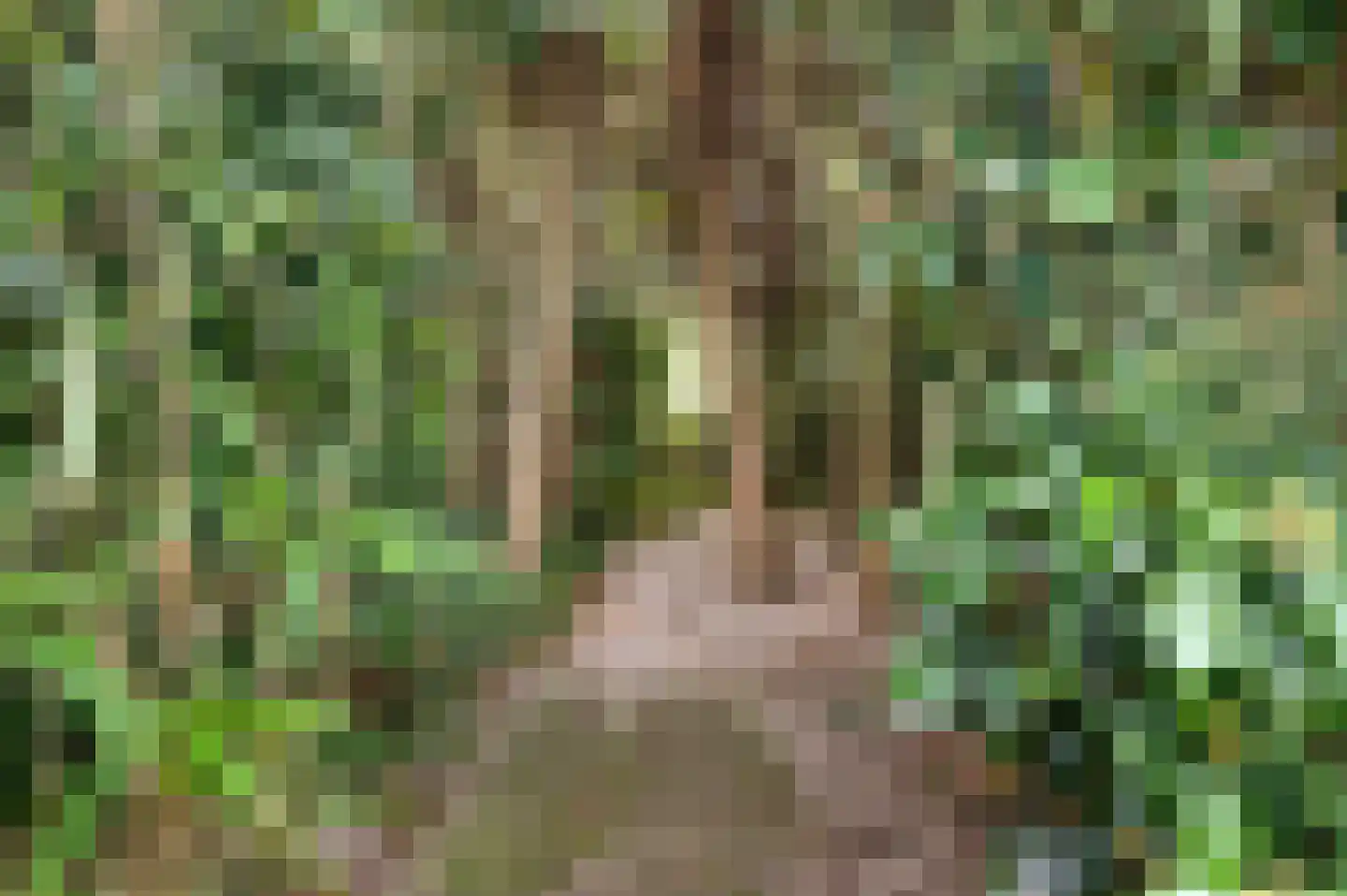 't Laar 2 Haelen thumbnail 52