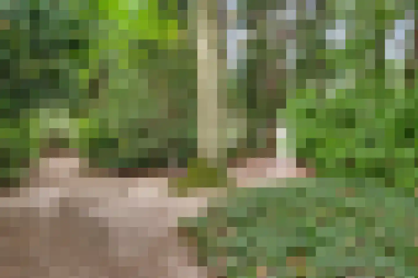 't Laar 2 Haelen thumbnail 53