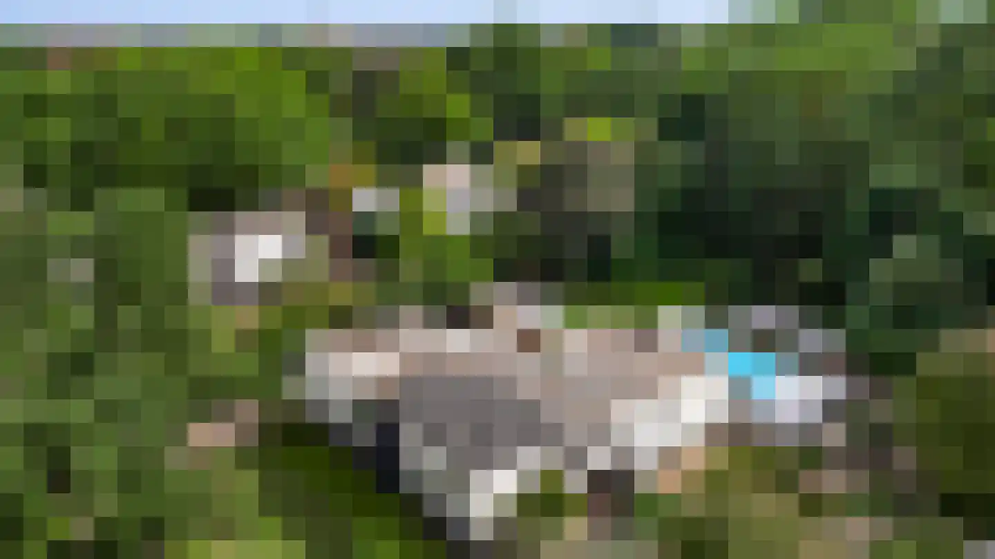 't Laar 2 Haelen thumbnail 64
