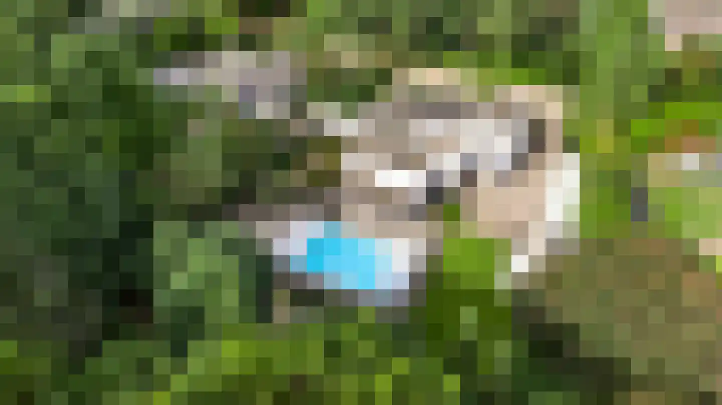 't Laar 2 Haelen thumbnail 66