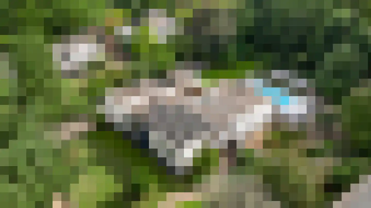 't Laar 2 Haelen thumbnail 67