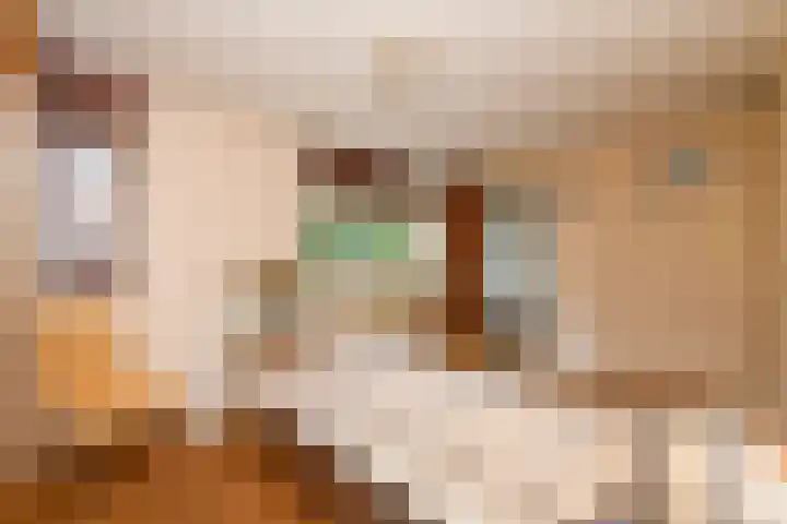 't Laar 3 Amersfoort thumbnail 11