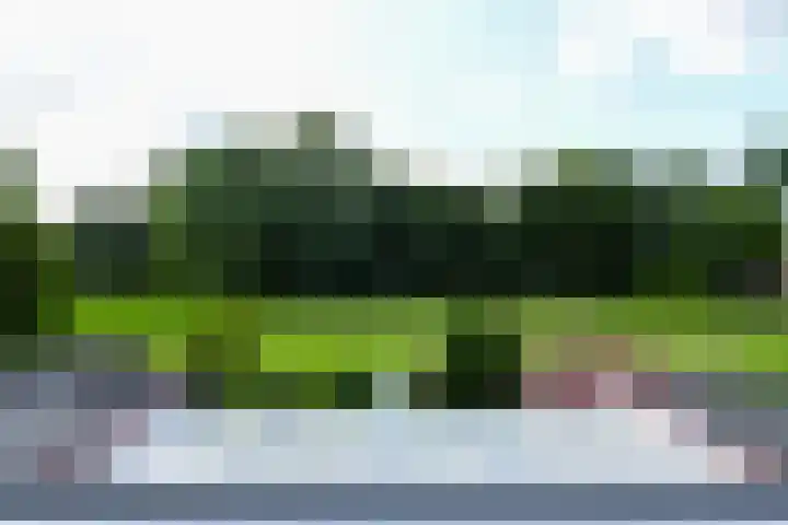 't Laar 3 Amersfoort thumbnail 22