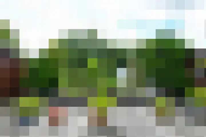 't Laar 3 Amersfoort thumbnail 27