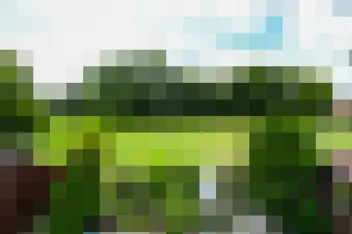 't Laar 3 Amersfoort thumbnail 28