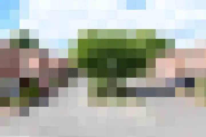 't Laar 3 Amersfoort thumbnail 32