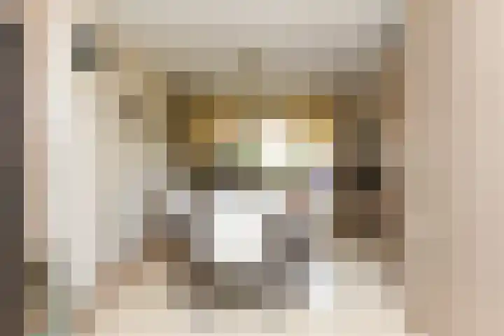 't Laar 3 Amersfoort thumbnail 5
