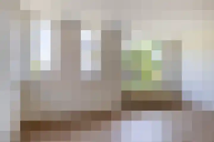 't Lage Burgh 12 Burgh-Haamstede thumbnail 10