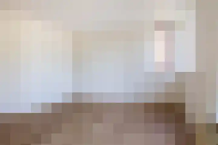 't Lage Burgh 12 Burgh-Haamstede thumbnail 11