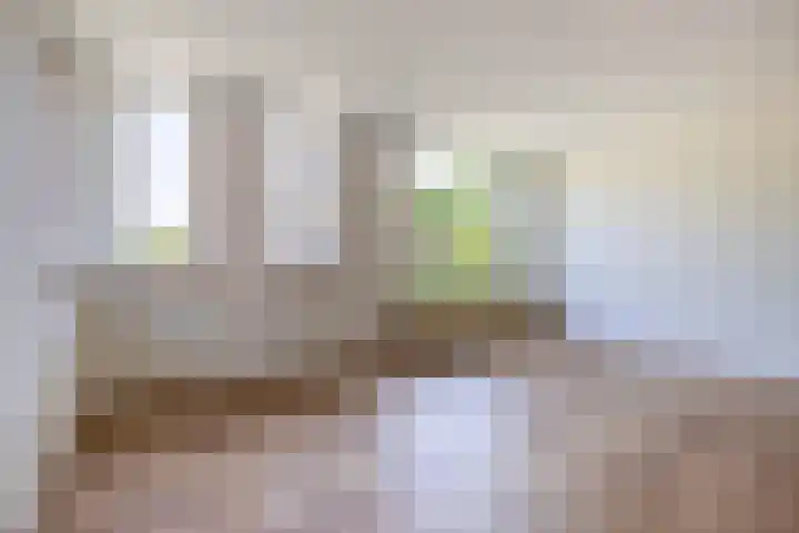 't Lage Burgh 12 Burgh-Haamstede thumbnail 14