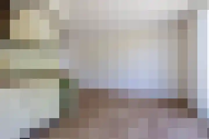 't Lage Burgh 12 Burgh-Haamstede thumbnail 17