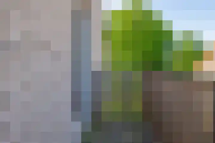 't Lage Burgh 12 Burgh-Haamstede thumbnail 24