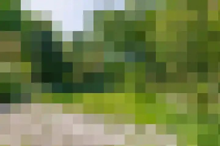 't Lage Burgh 12 Burgh-Haamstede thumbnail 29