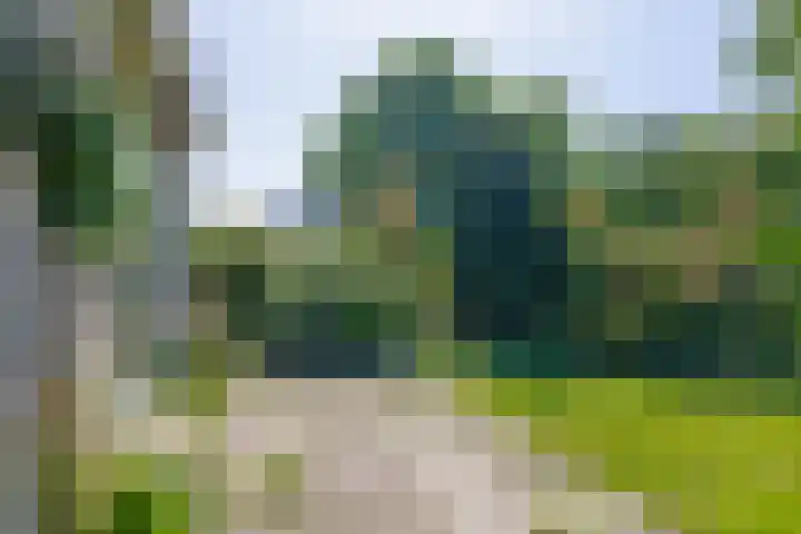 't Lage Burgh 12 Burgh-Haamstede thumbnail 30
