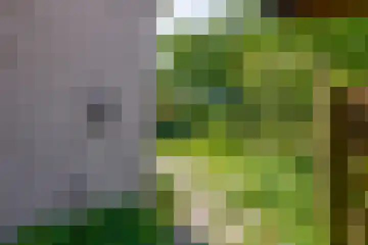 't Lage Burgh 12 Burgh-Haamstede thumbnail 32