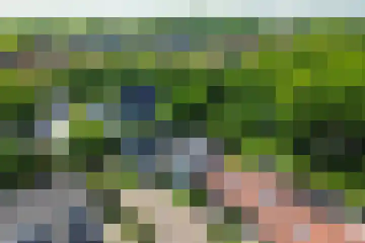't Lage Burgh 12 Burgh-Haamstede thumbnail 33