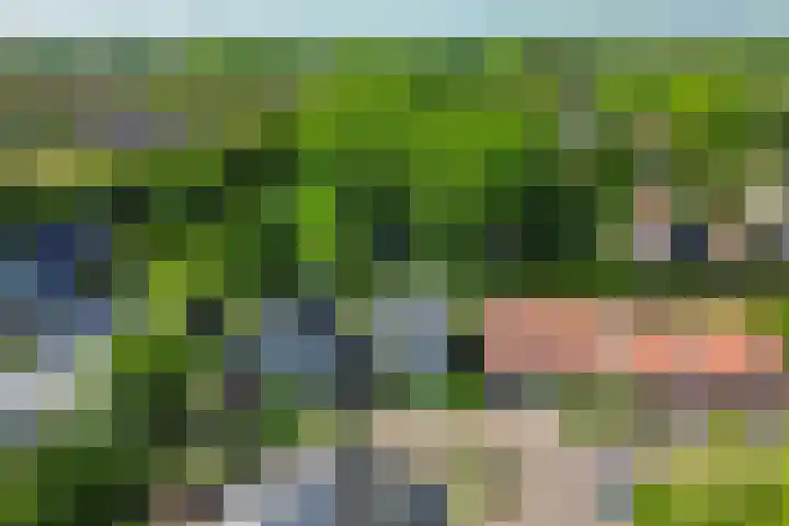 't Lage Burgh 12 Burgh-Haamstede thumbnail 34