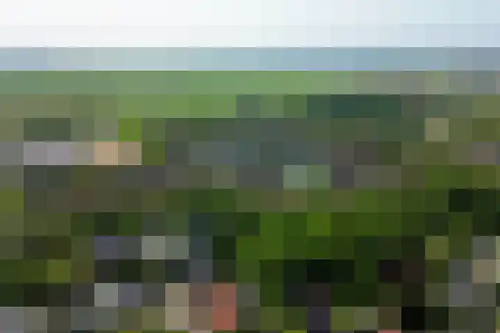 't Lage Burgh 12 Burgh-Haamstede thumbnail 35