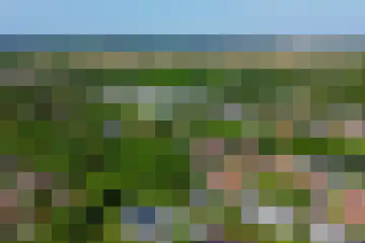 't Lage Burgh 12 Burgh-Haamstede thumbnail 36