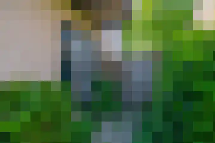 't Lage Burgh 12 Burgh-Haamstede thumbnail 6
