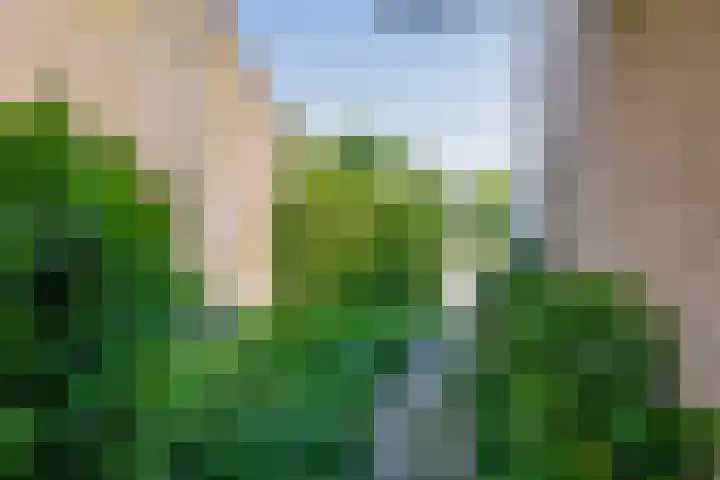 't Lage Burgh 12 Burgh-Haamstede thumbnail 7
