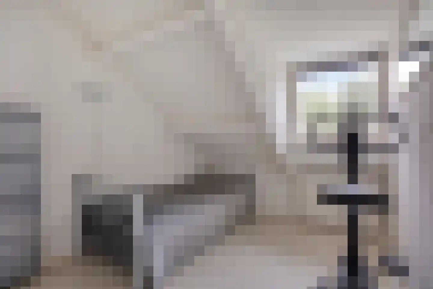 't Lage Burgh 18 Burgh-Haamstede thumbnail 19