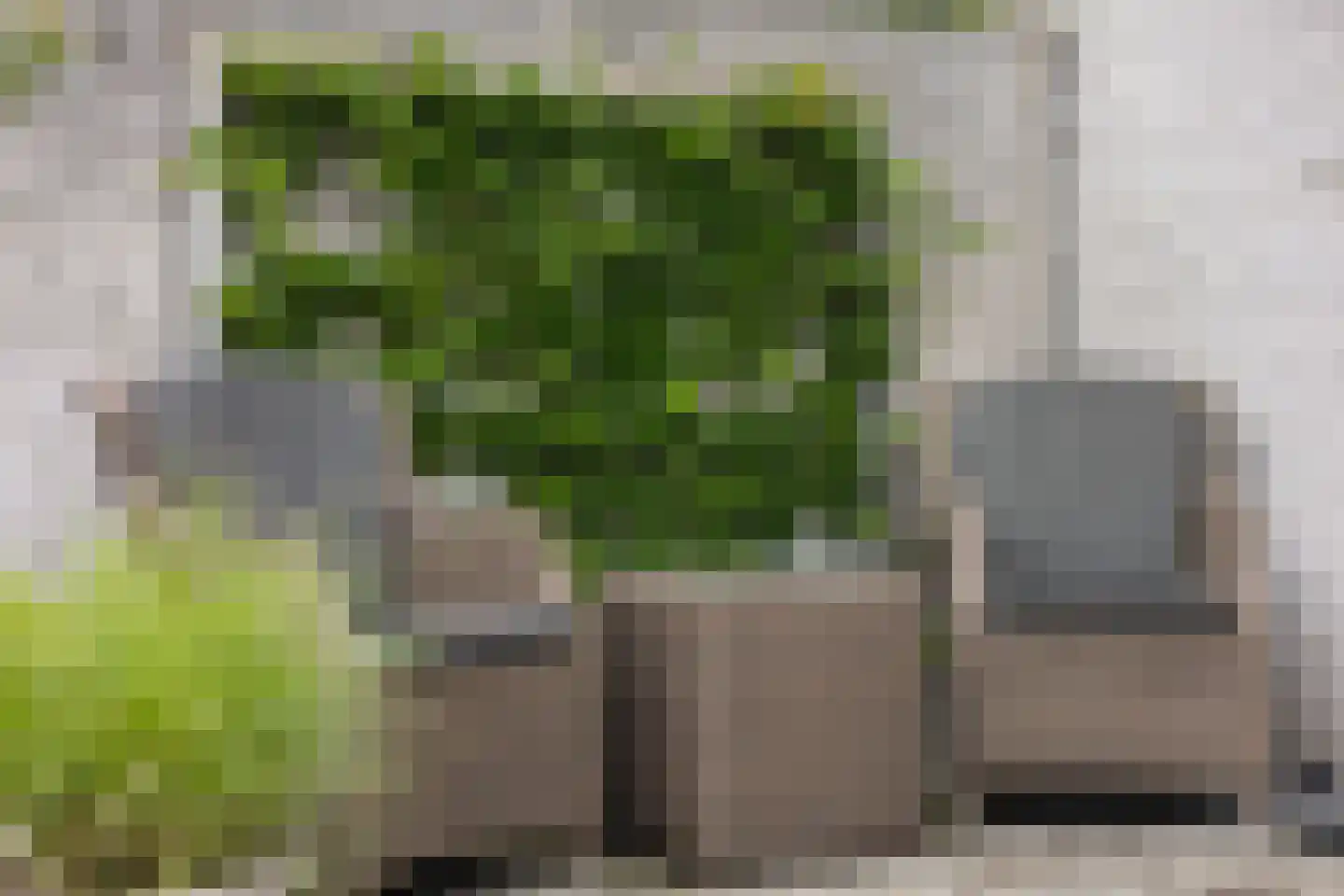 't Lage Burgh 18 Burgh-Haamstede thumbnail 22