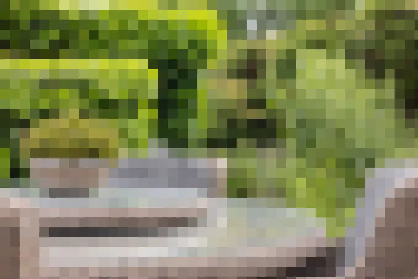 't Lage Burgh 18 Burgh-Haamstede thumbnail 25