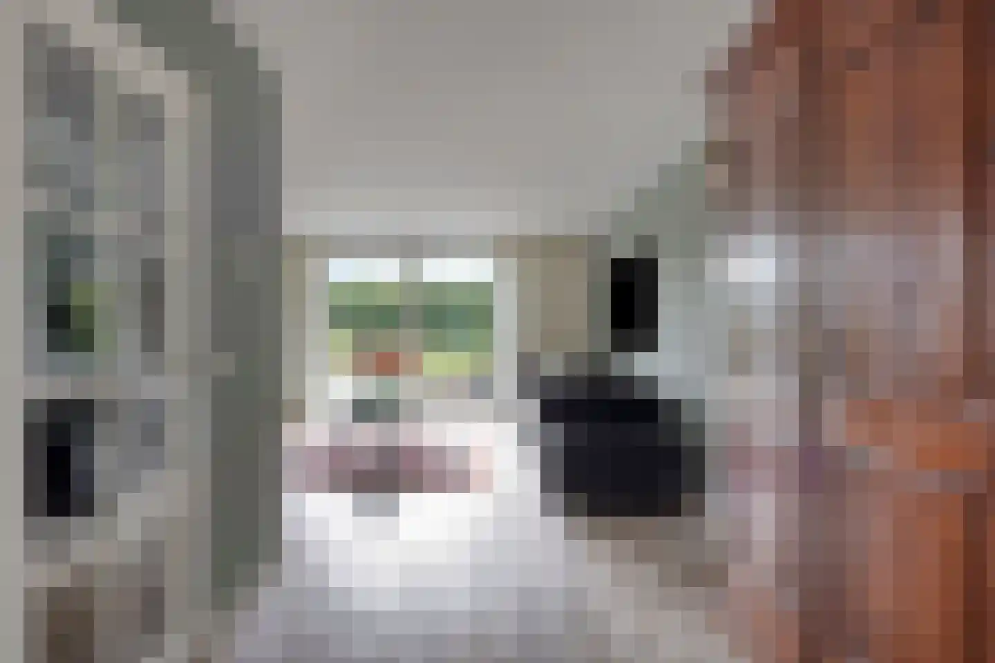 't Lage Burgh 18 Burgh-Haamstede thumbnail 8