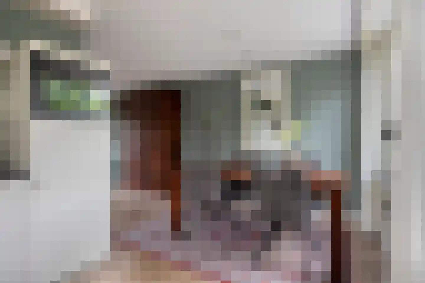 't Lage Burgh 18 Burgh-Haamstede thumbnail 9