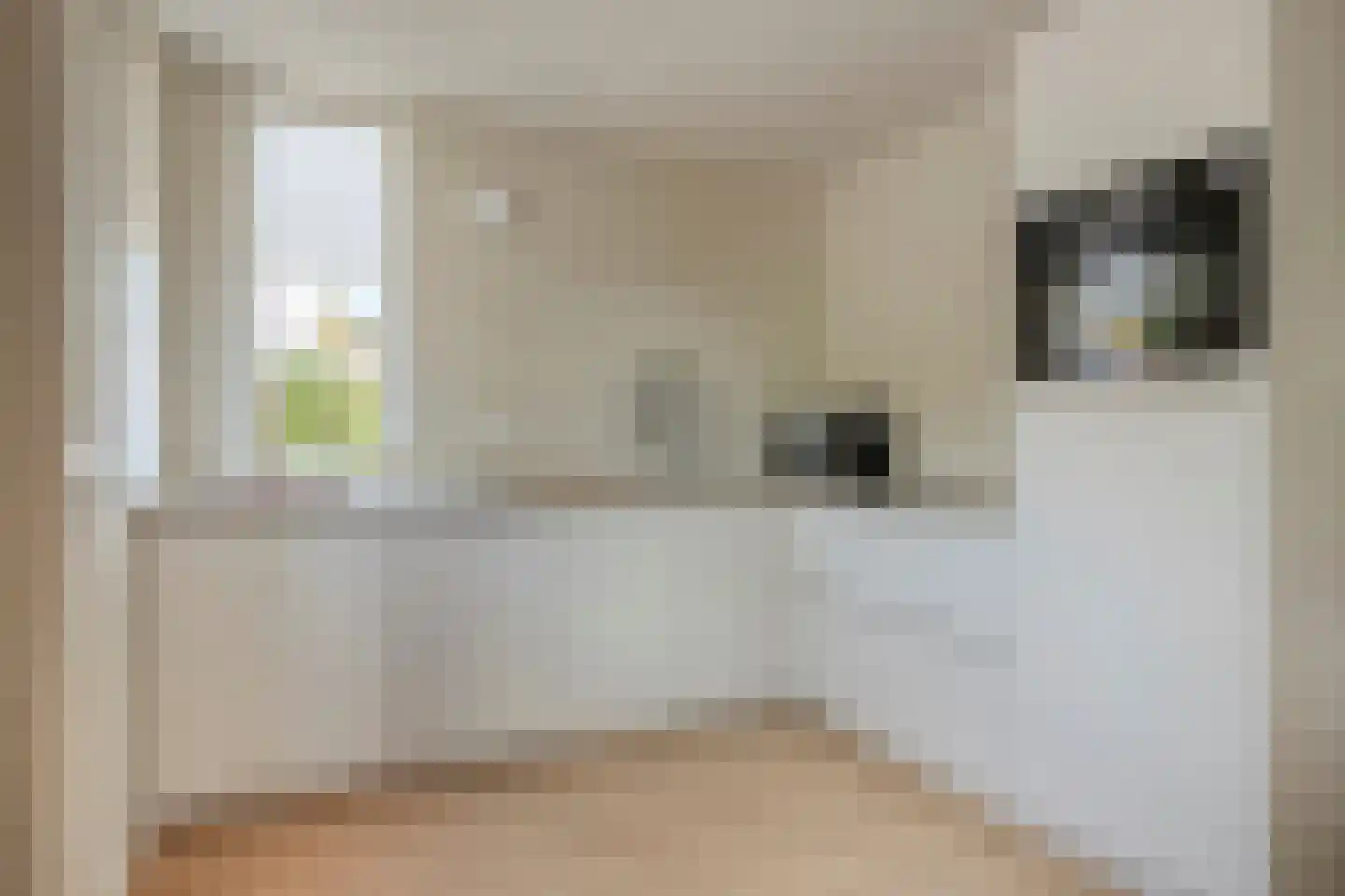 't Lage Burgh 22 Burgh-Haamstede thumbnail 10