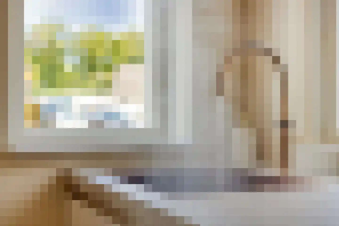 't Lage Burgh 22 Burgh-Haamstede thumbnail 14