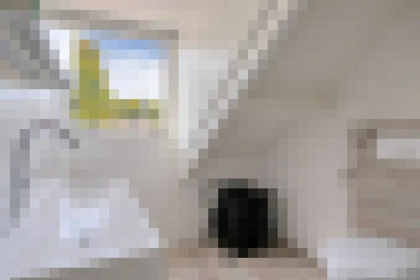 't Lage Burgh 22 Burgh-Haamstede thumbnail 18