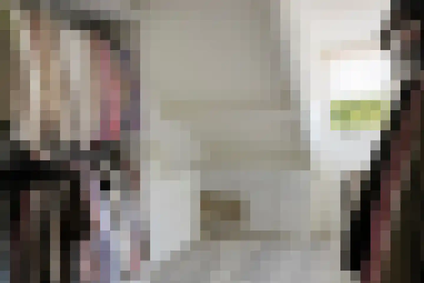 't Lage Burgh 22 Burgh-Haamstede thumbnail 23
