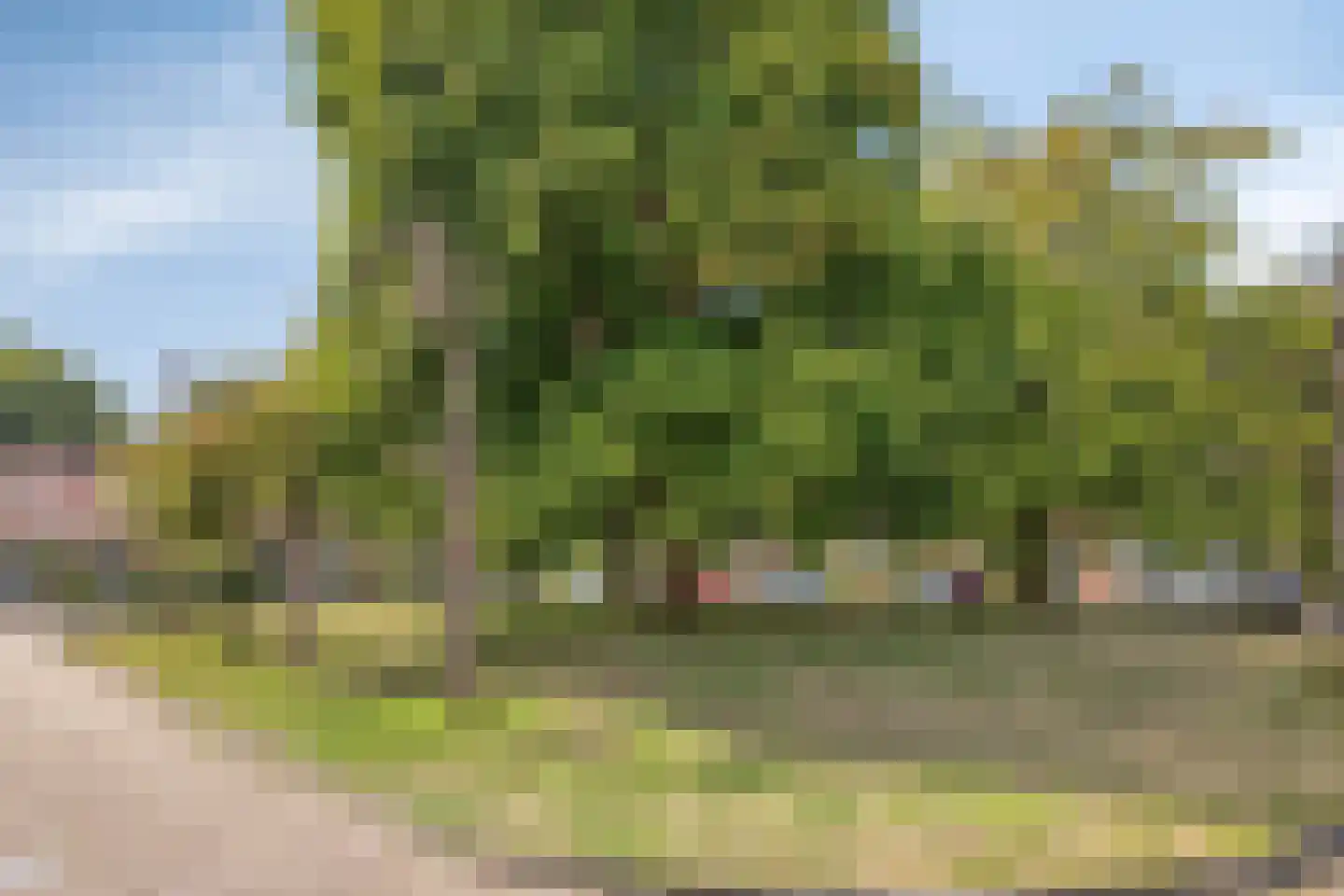 't Lage Burgh 22 Burgh-Haamstede thumbnail 26