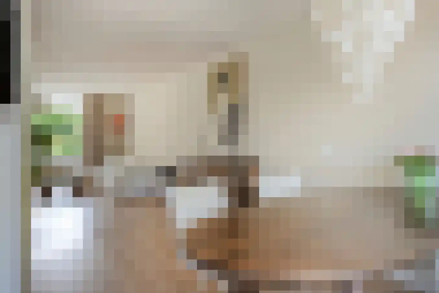 't Lage Burgh 22 Burgh-Haamstede thumbnail 9
