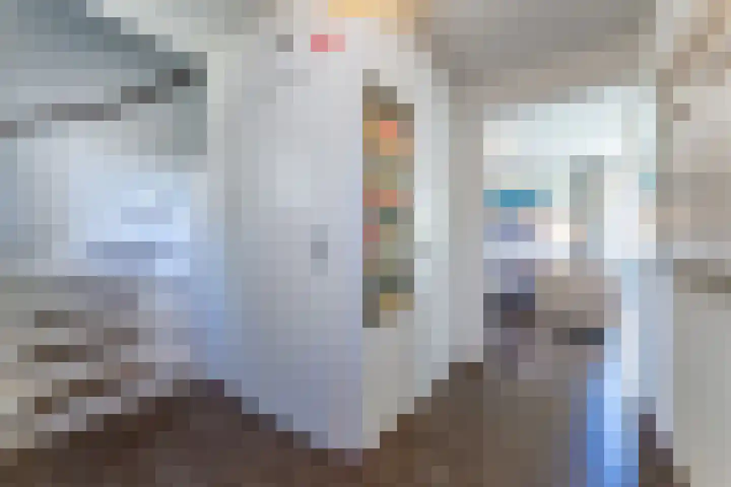 't Lage Duyn 11 Cadzand thumbnail 10
