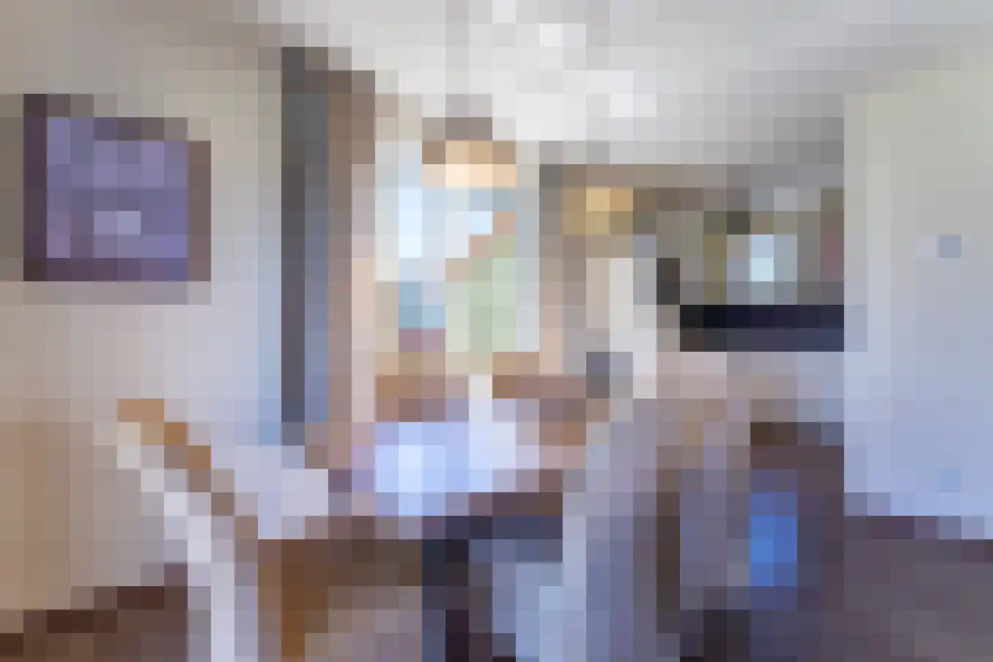 't Lage Duyn 11 Cadzand thumbnail 13