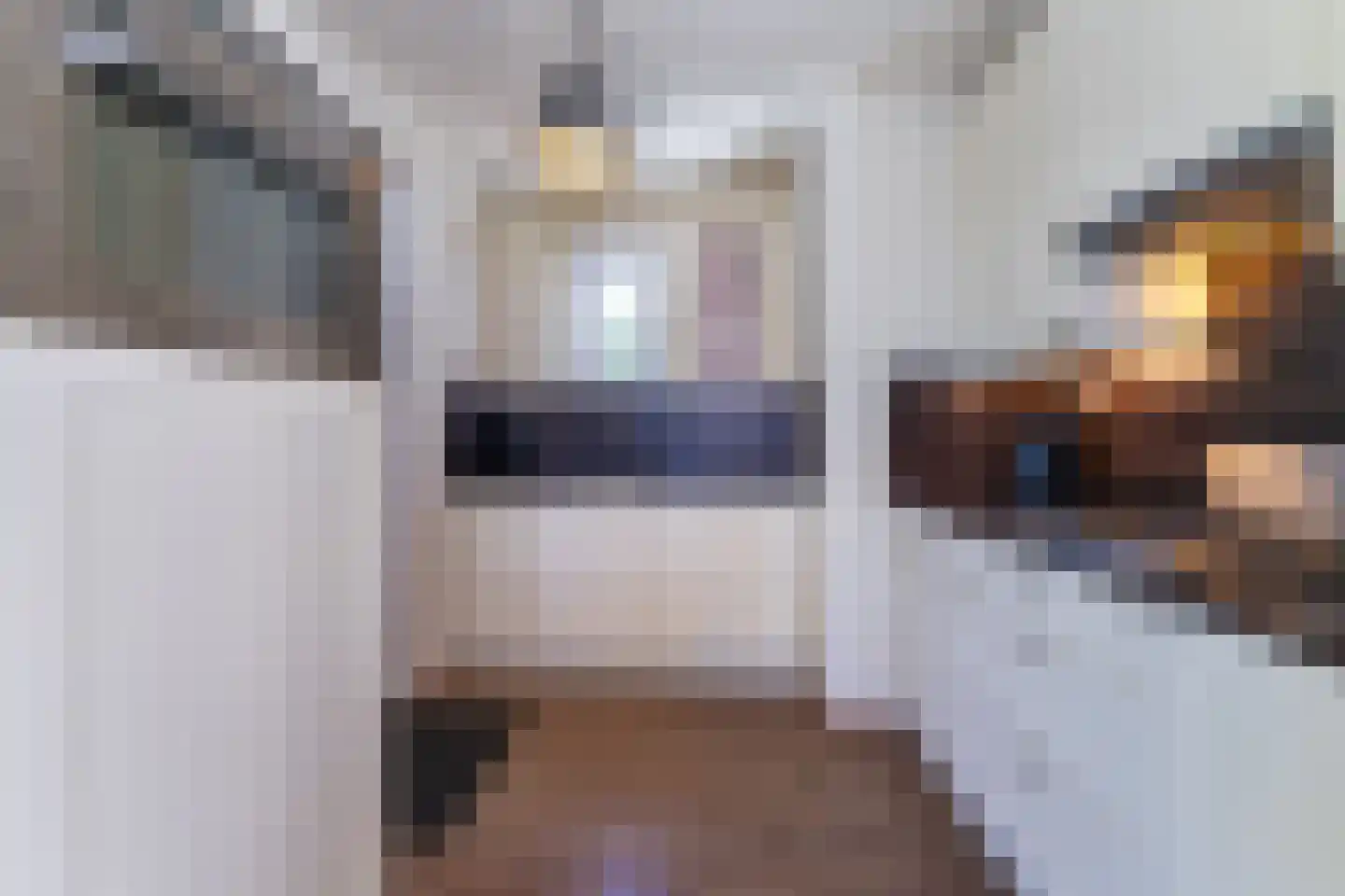 't Lage Duyn 11 Cadzand thumbnail 14