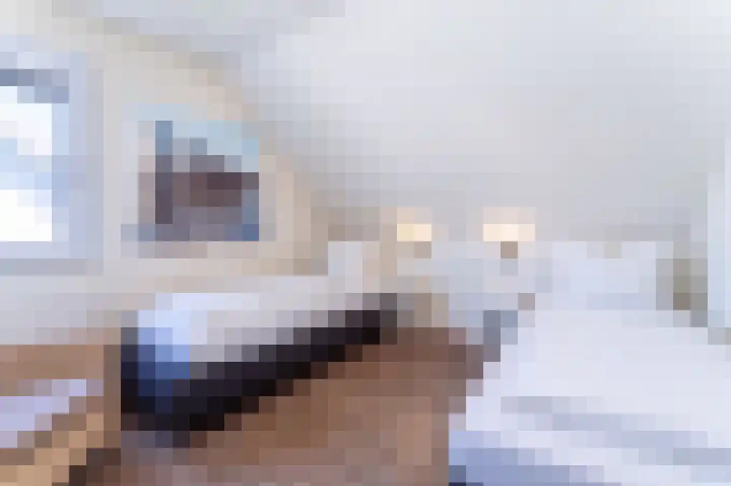 't Lage Duyn 11 Cadzand thumbnail 18