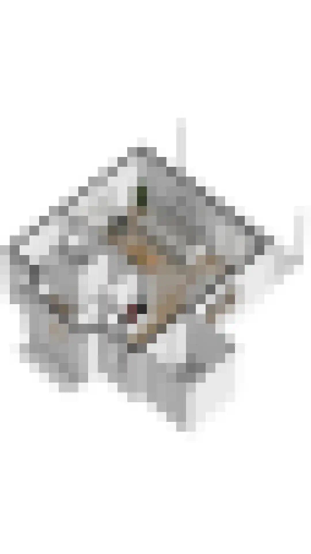 't Lage Duyn 11 Cadzand thumbnail 32