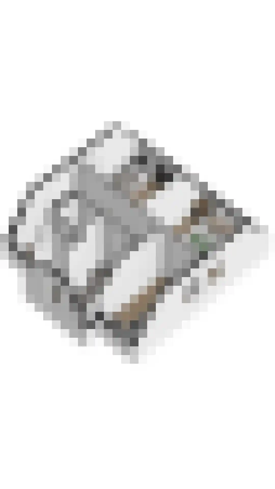 't Lage Duyn 11 Cadzand thumbnail 33