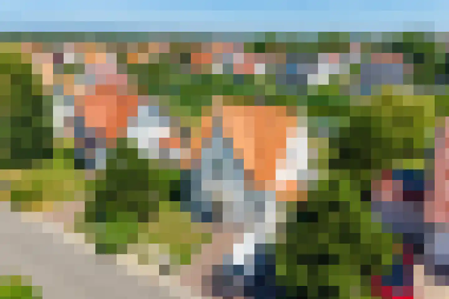 't Lage Duyn 11 Cadzand thumbnail 6