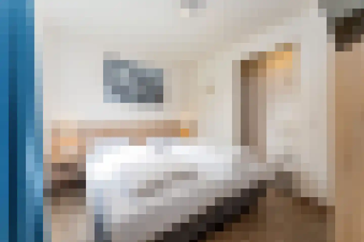 't Lage Duyn 26 Cadzand thumbnail 13