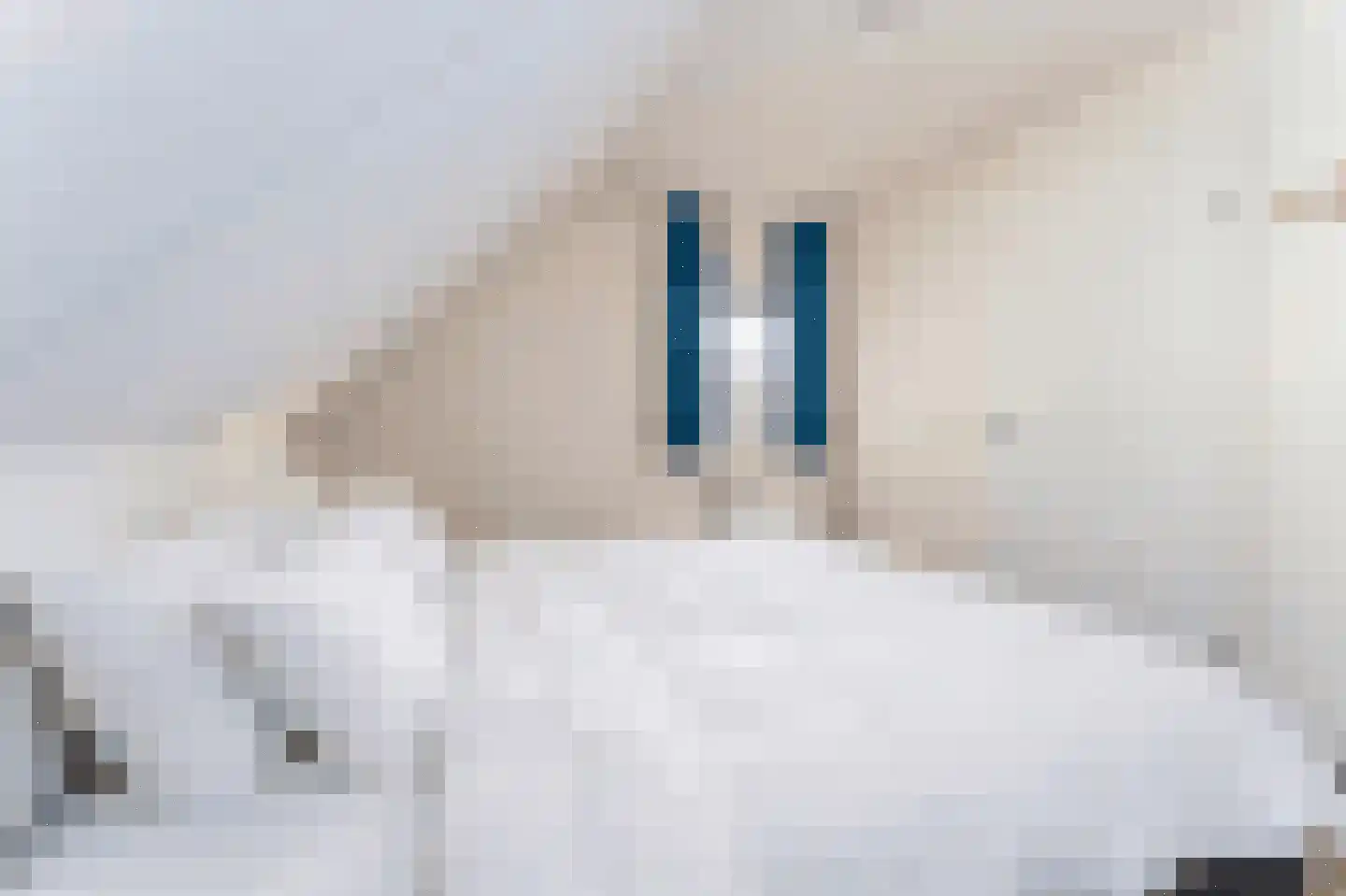 't Lage Duyn 26 Cadzand thumbnail 18