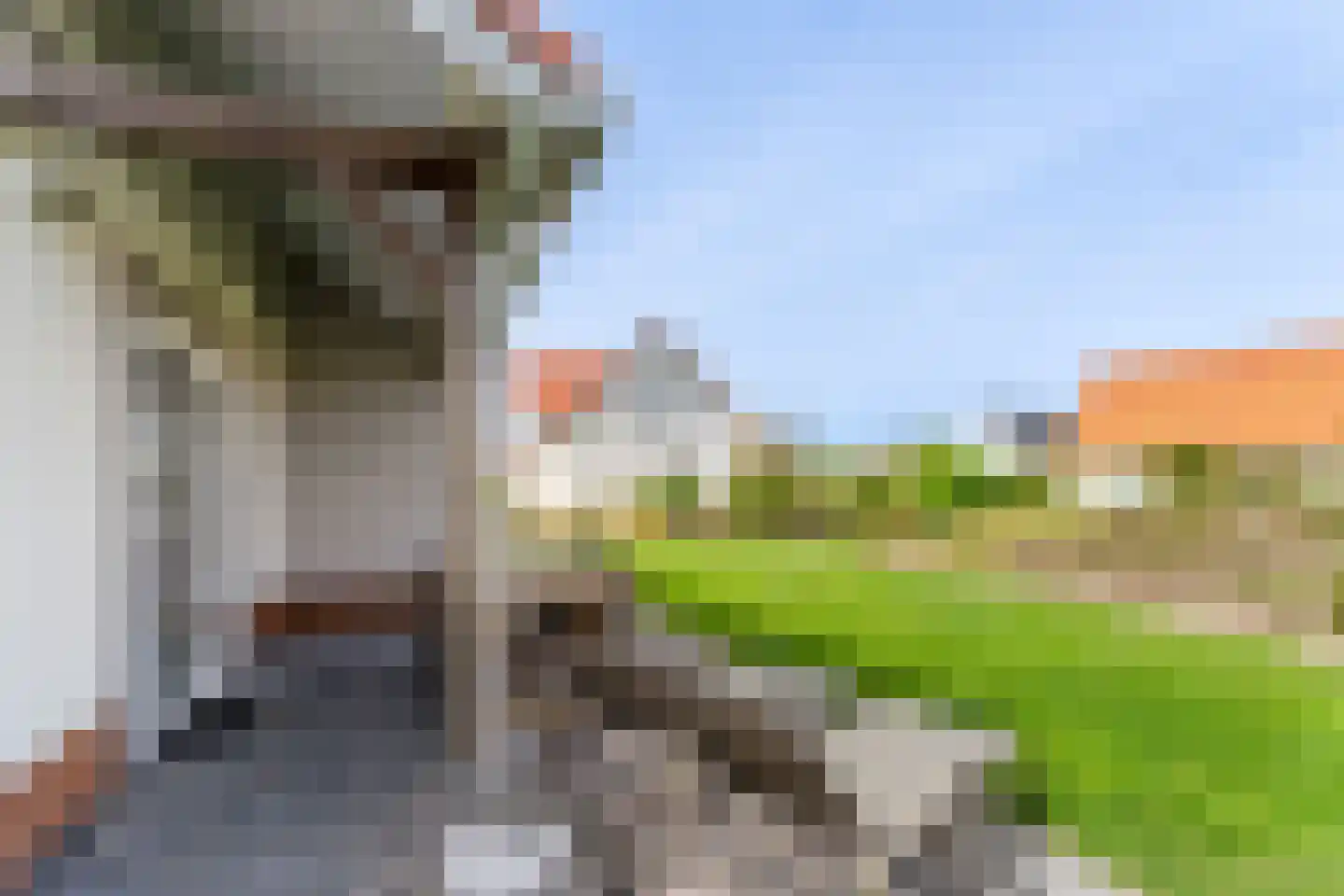 't Lage Duyn 26 Cadzand thumbnail 25